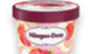 Walmart Haagen-Dazs Novelties or Ice Cream Tubs offer