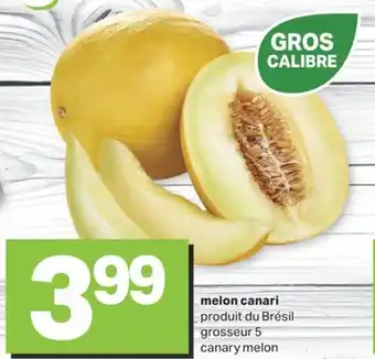 L'Intermarché MELON CANARI offer