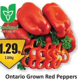 Starsky Ontario Grown Red Peppers offer