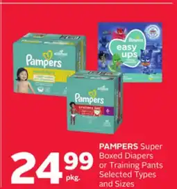 Rexall PAMPERS Super Boxed Diapers or Training Pants offer