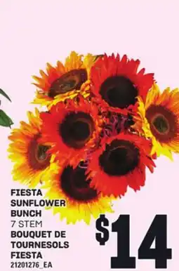 Independent City Market BOUQUET DE TOURNESOLS FIESTA, 7 STEM offer