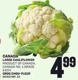 Independent City Market LARGE CAULIFLOWER, EACH offer
