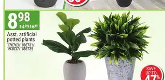 Rossy Asst. artificial potted plants offer