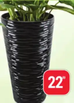Rossy Flower Pot offer