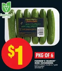 No Frills Farmer's market mini cucumbers offer