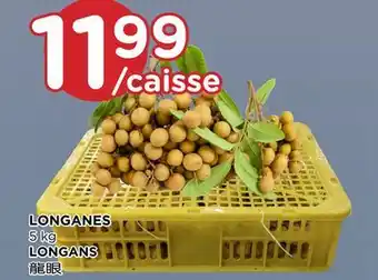 Kim Phat LONGANS offer