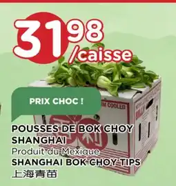 Kim Phat SHANGHAI BOK CHOY TIPS offer
