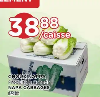 Kim Phat NAPA CABBAGES offer