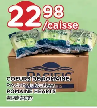 Kim Phat ROMAINE HEARTS offer