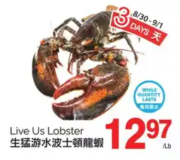 T&T Supermarket LIVE US LOBSTER offer