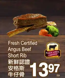 T&T Supermarket FRESH CERTIFIED ANGUS BEEF SHORT RIB offer
