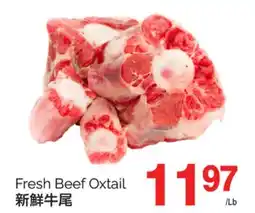 T&T Supermarket FRESH BEEF OXTAIL offer
