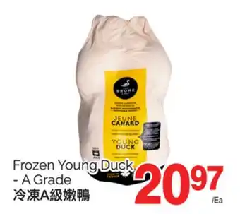 T&T Supermarket FROZEN YOUNG DUCK - A GRADE offer