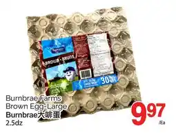 T&T Supermarket BURNBRAE FARMS BROWN EGG-LARGE, 2.5dz offer