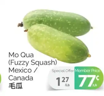 T&T Supermarket MO QUA (FUZZY SQUASH) offer
