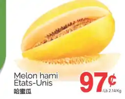T&T Supermarket MELON HAMI offer