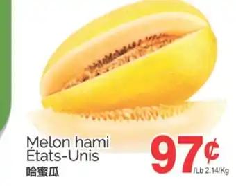 T&T Supermarket MELON HAMI offer