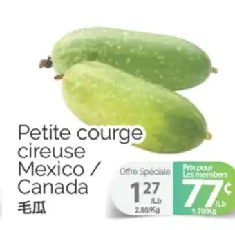 T&T Supermarket PETITE COURGE CIREUSE offer