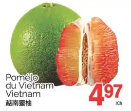 T&T Supermarket POMÉLO DU VIETNAM offer