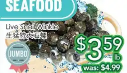 Ample Food Market Live Snail Winkle offer