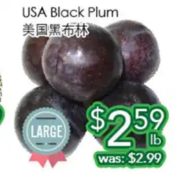 Ample Food Market USA Black Plum offer