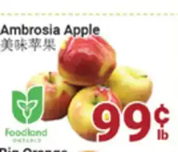 Oceans Fresh Food Market Ambrosla Apple offer