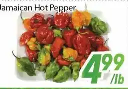 Bestco Food Mart Jamaican Hot Pepper offer