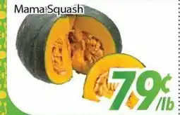 Bestco Food Mart Mama Squash offer