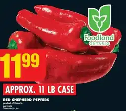 No Frills Red shepherd peppers offer