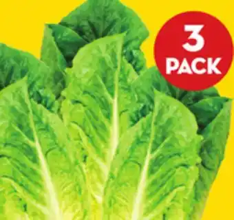 Giant Tiger 3 pack romaine hearts offer