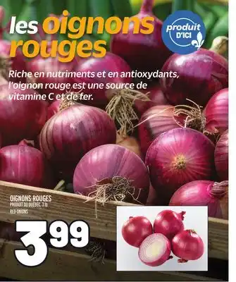 Metro OIGNONS ROUGES | RED ONIONS offer