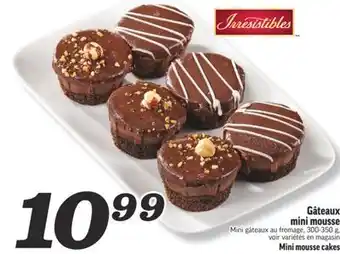 Marché Richelieu Gâteaux mini mousse | Mini mousse cakes offer