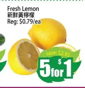 Field Fresh Supermarket Fresh Lemon offer