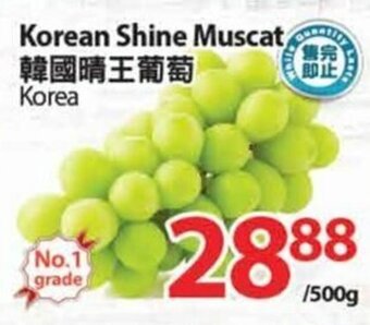 T&T Supermarket Korean Shine Muscat offer
