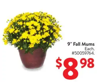 Walmart 9 Fall Mums offer