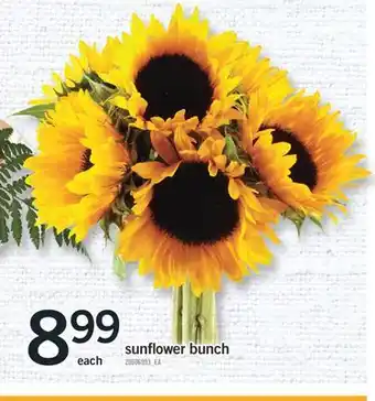 Fortinos SUNFLOWER BUNCH offer