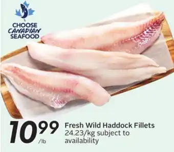 Sobeys Fresh Wild Haddock Fillets offer