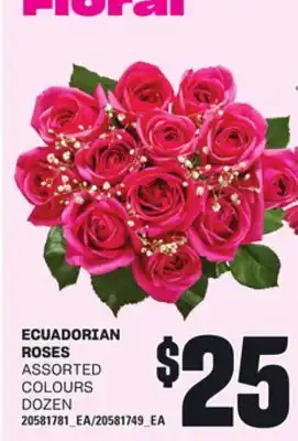 Loblaws ECUADORIAN ROSES, DOZEN offer
