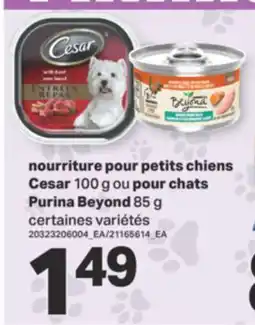 L'Intermarché nourriture pour petits chiens Cesar 100 g ou Purina Beyond 85g offer
