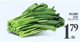 Al Premium Food Mart Yu choy offer