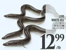 Al Premium Food Mart Live white eel offer