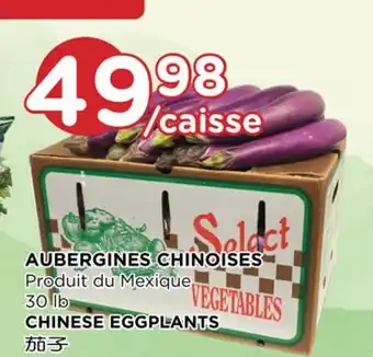 Kim Phat CHINESE EGGPLANTS offer