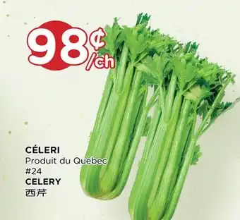 Kim Phat CELERY offer