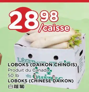 Kim Phat LOBOKS (CHINESE DAIKON) offer