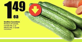 FreshCo Seedless Cucumbers offer