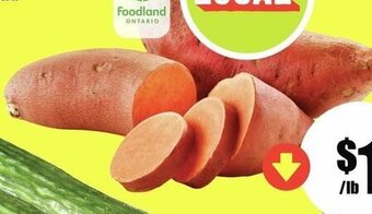 FreshCo Yams/Sweet Potatoes offer