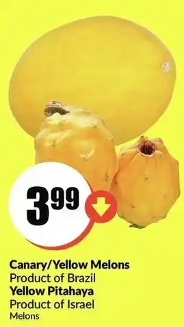 FreshCo Canary/Yellow Melons offer