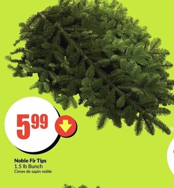 FreshCo Noble Fir Tips offer