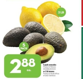 Giant Tiger 5 Pack Avocados offer