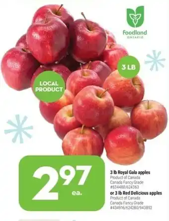 Giant Tiger 3lb Royal Gala Apples offer